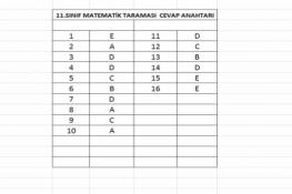 11.Sınıf Matematik Taraması Cevap Anahtarı (13.05.2026)